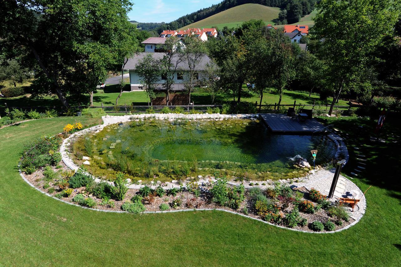 Hotel Geier Bad Schonau Ngoại thất bức ảnh